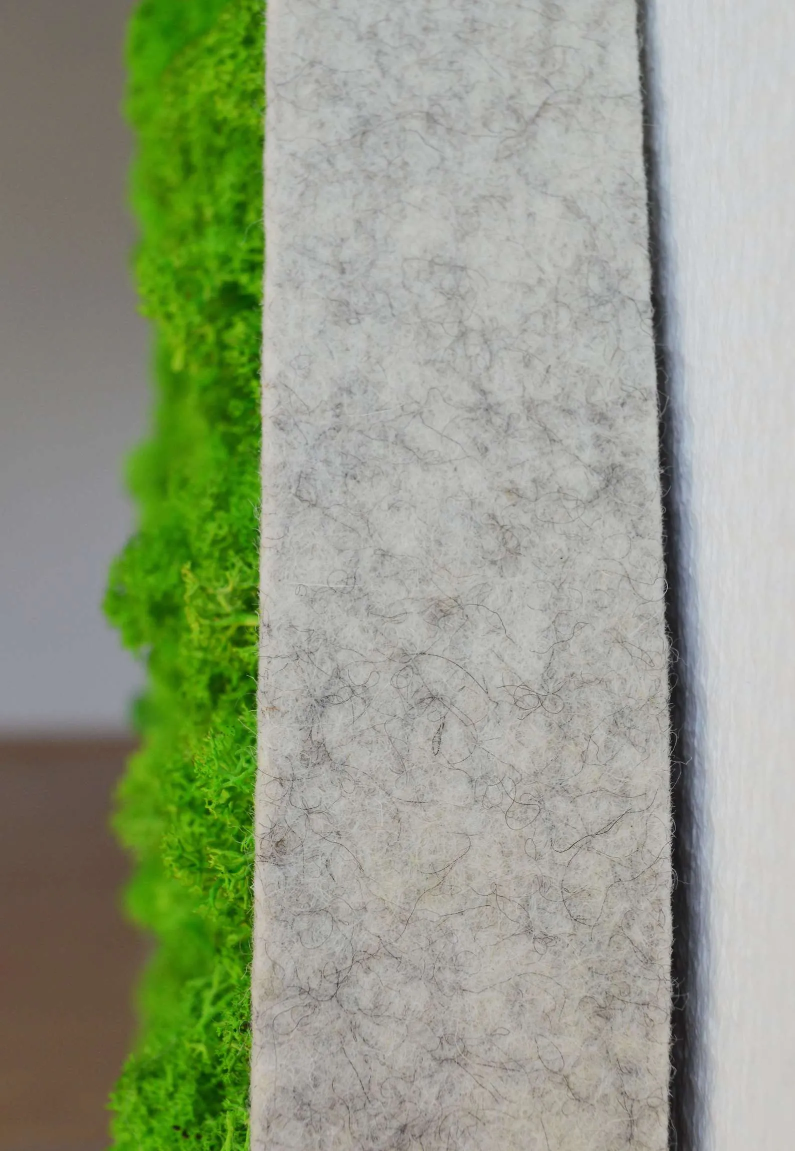 Belt Nordic Moss Wall Art