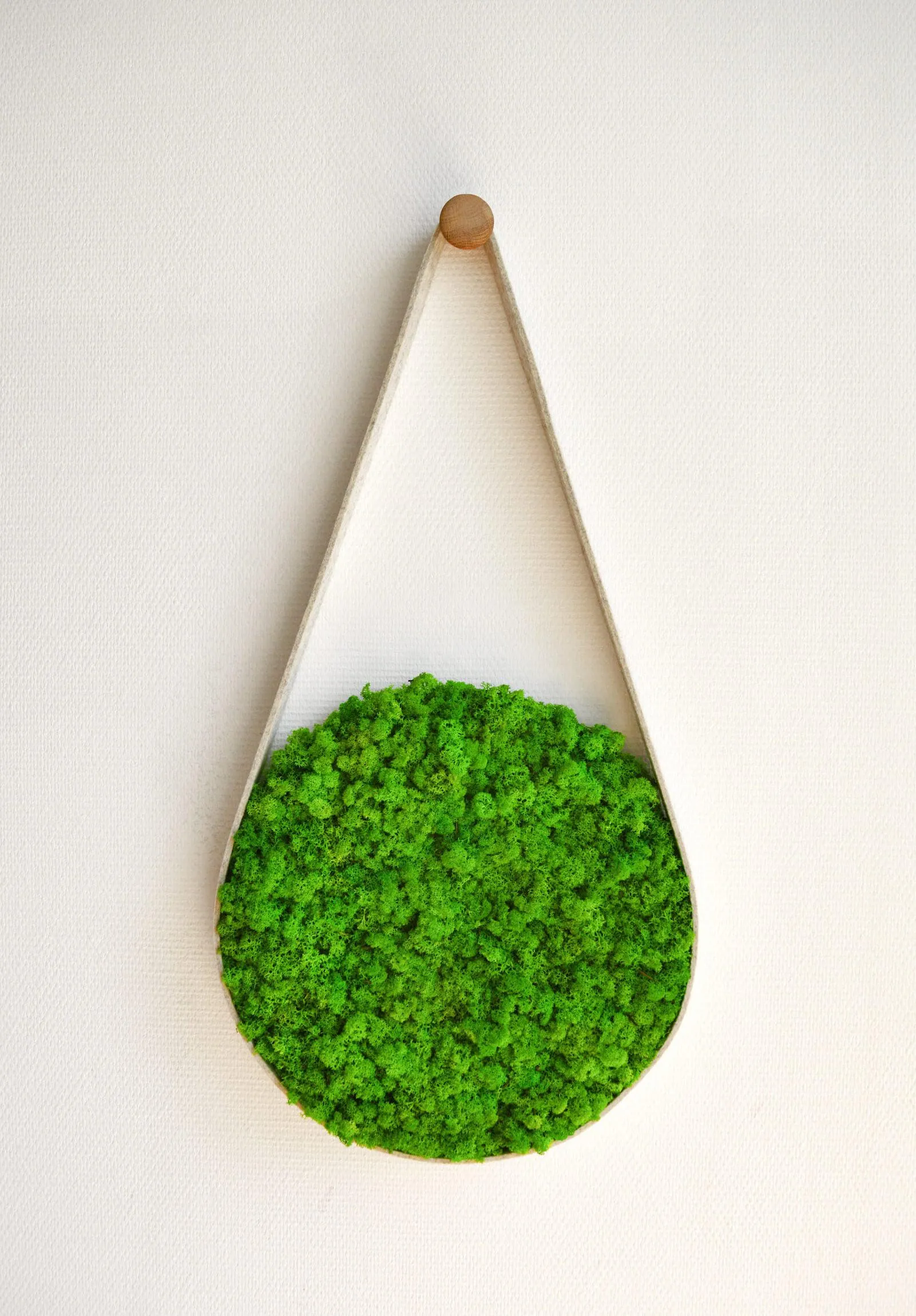 Belt Nordic Moss Wall Art