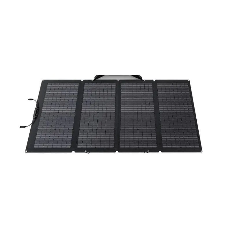 EcoFlow DELTA 2   DELTA 2 Extra Battery   220W Solar Panel   DELTA 2 Bag