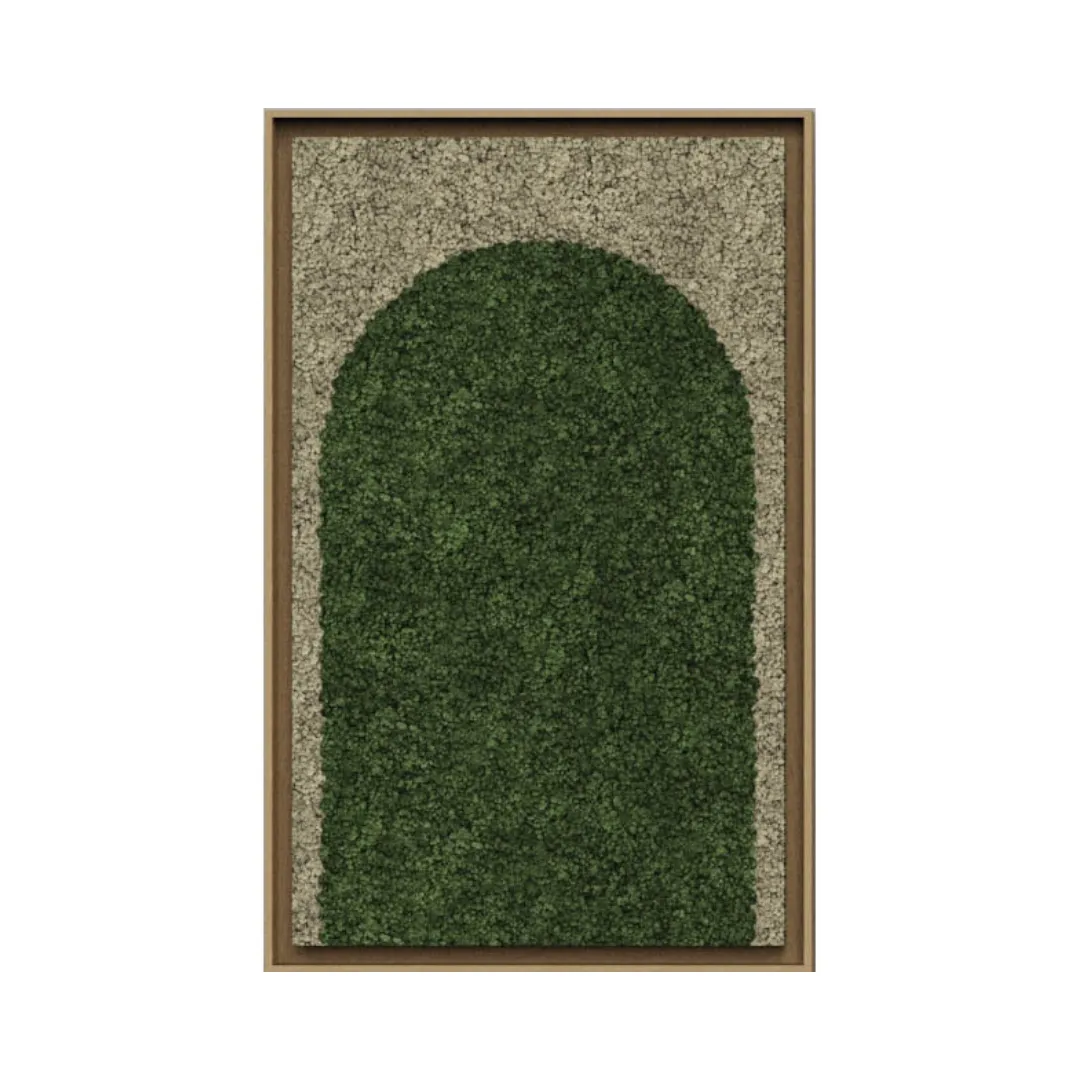 Geometric Framed Moss Wall Art (Series A)