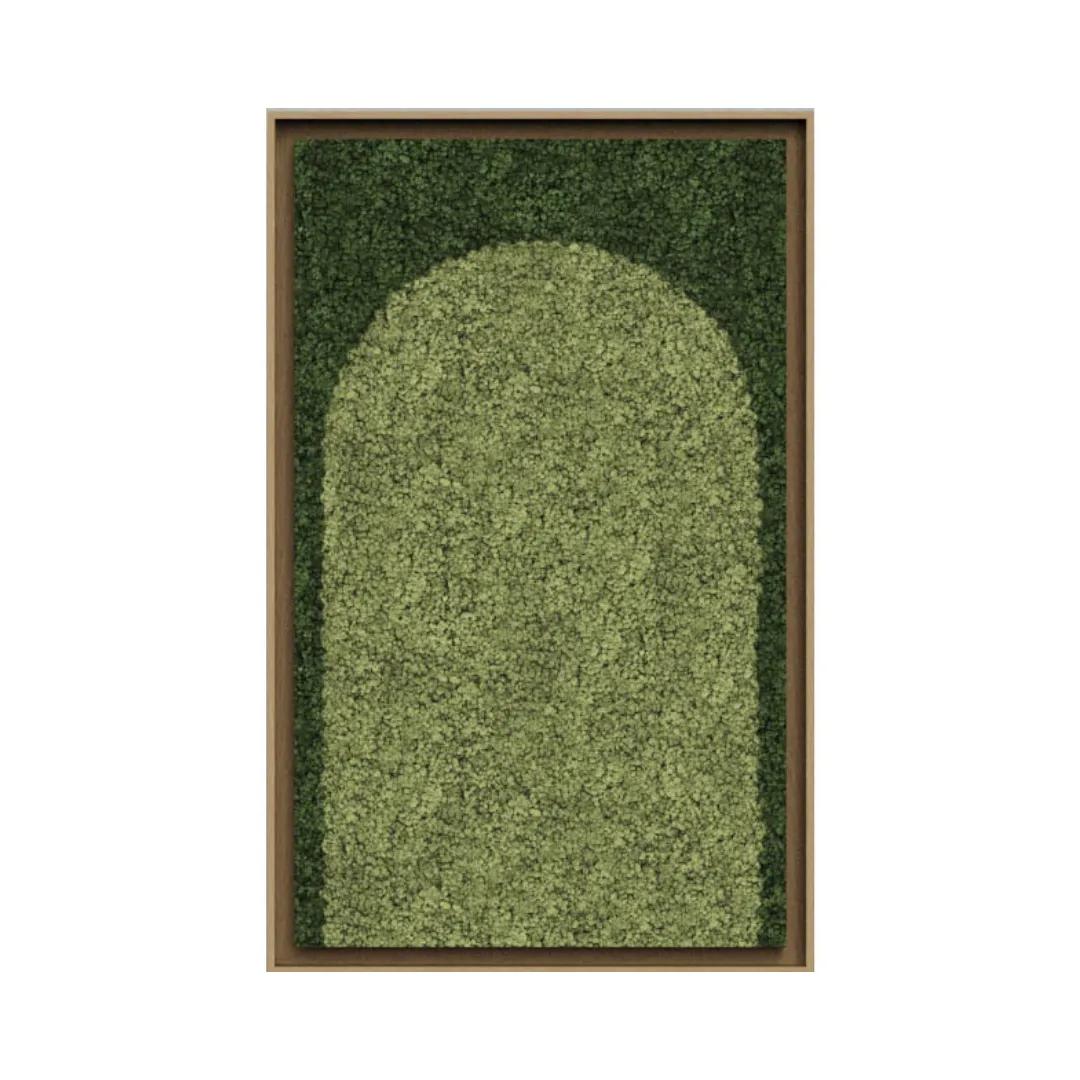 Geometric Framed Moss Wall Art (Series A)