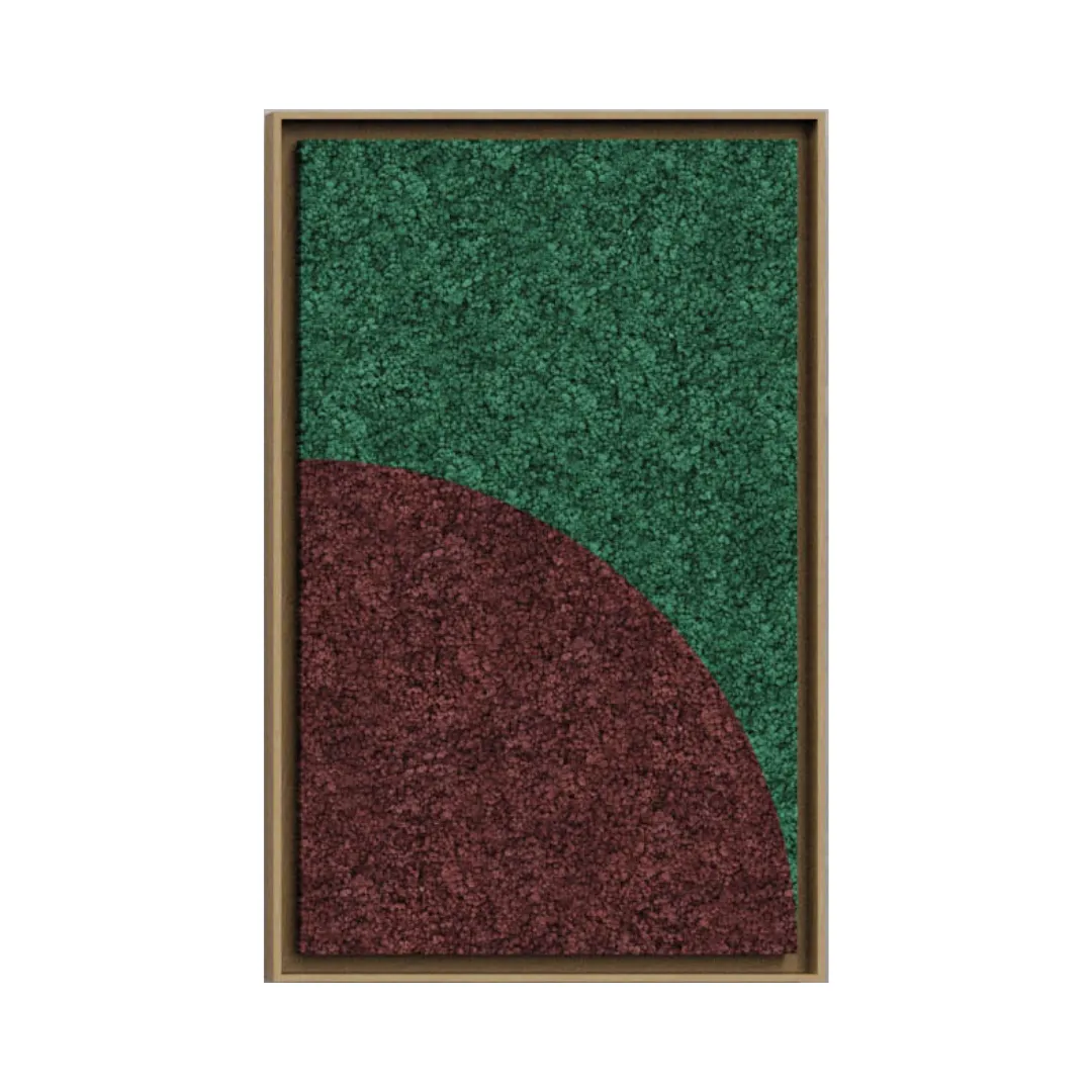 Geometric Framed Moss Wall Art (Series B)