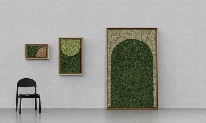 Geometric Framed Moss Wall Art (Series B)