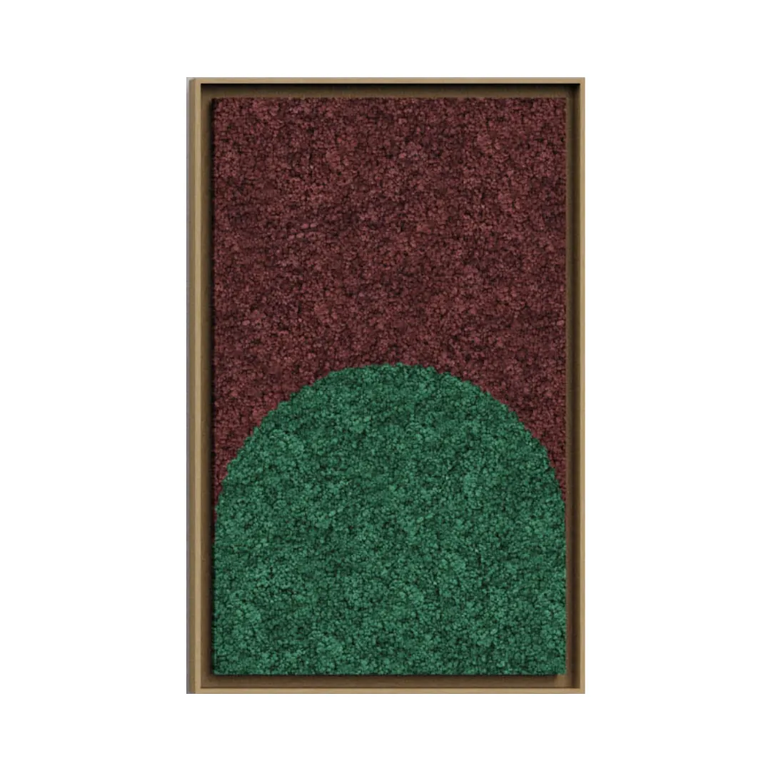 Geometric Framed Moss Wall Art (Series C)