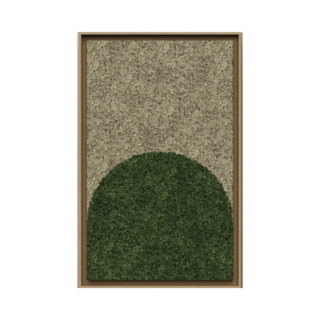 Geometric Framed Moss Wall Art (Series C)