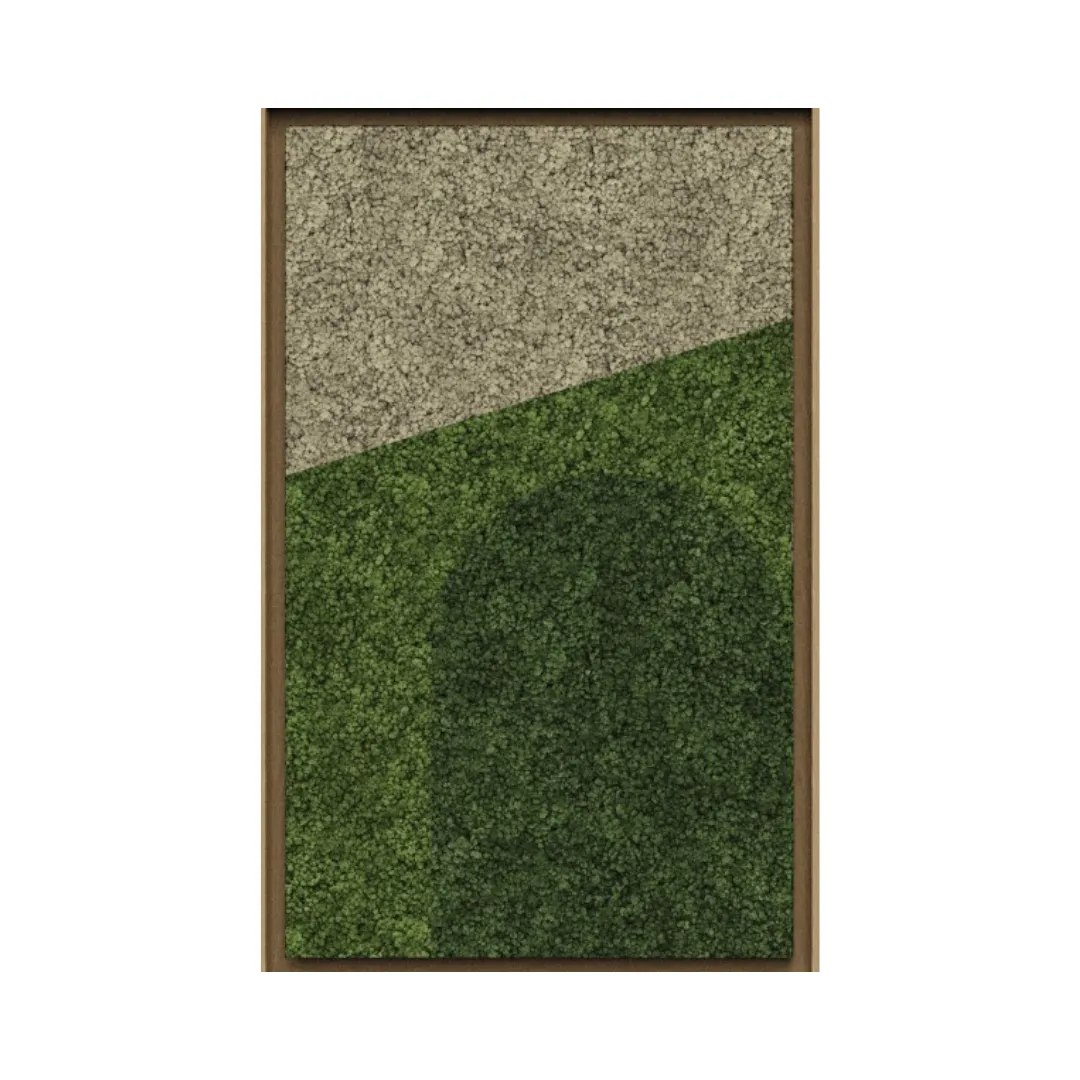 Geometric Framed Moss Wall Art (Series E)