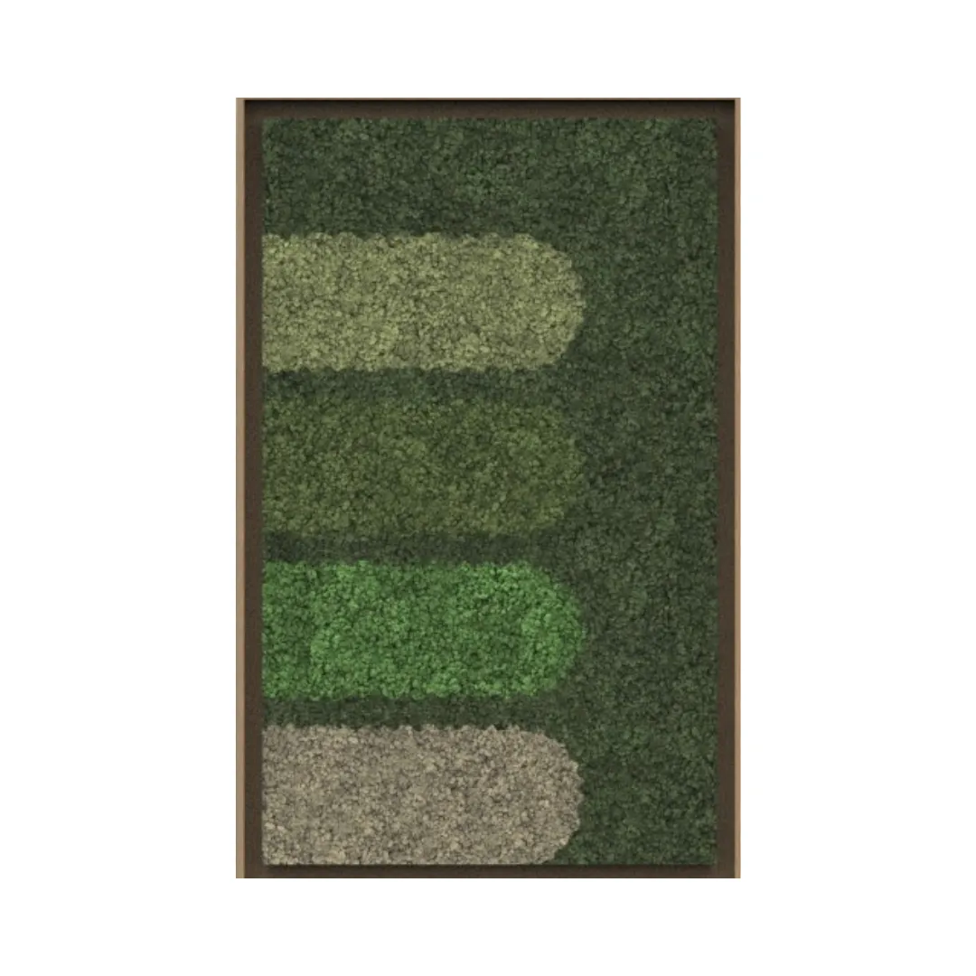 Geometric Framed Moss Wall Art (Series F)