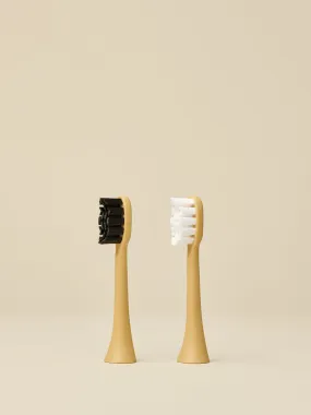 Gold Brush Head 2 Pack