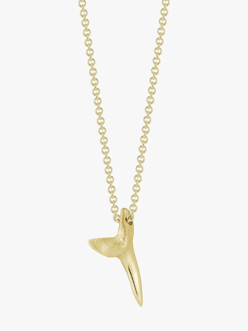 Gold Shark Tooth