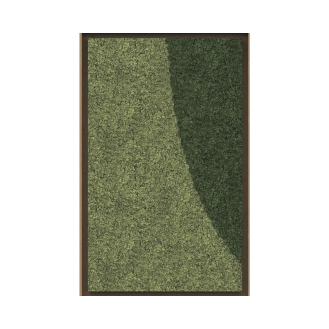 Harmony Framed Moss Wall Art (Series B)