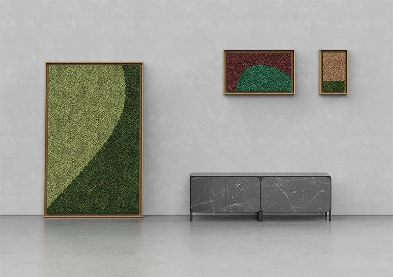 Harmony Framed Moss Wall Art (Series C)