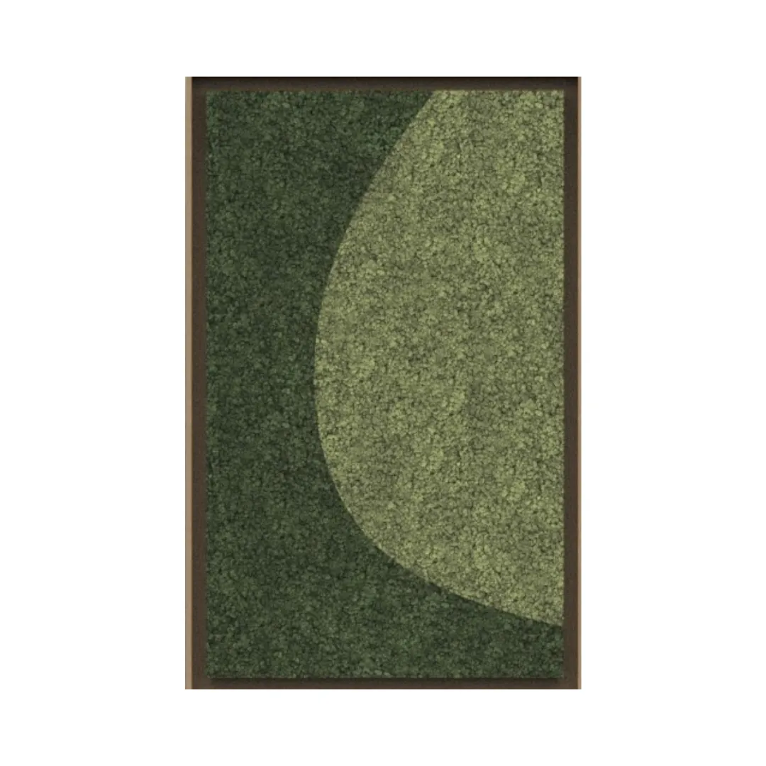 Harmony Framed Moss Wall Art (Series E)