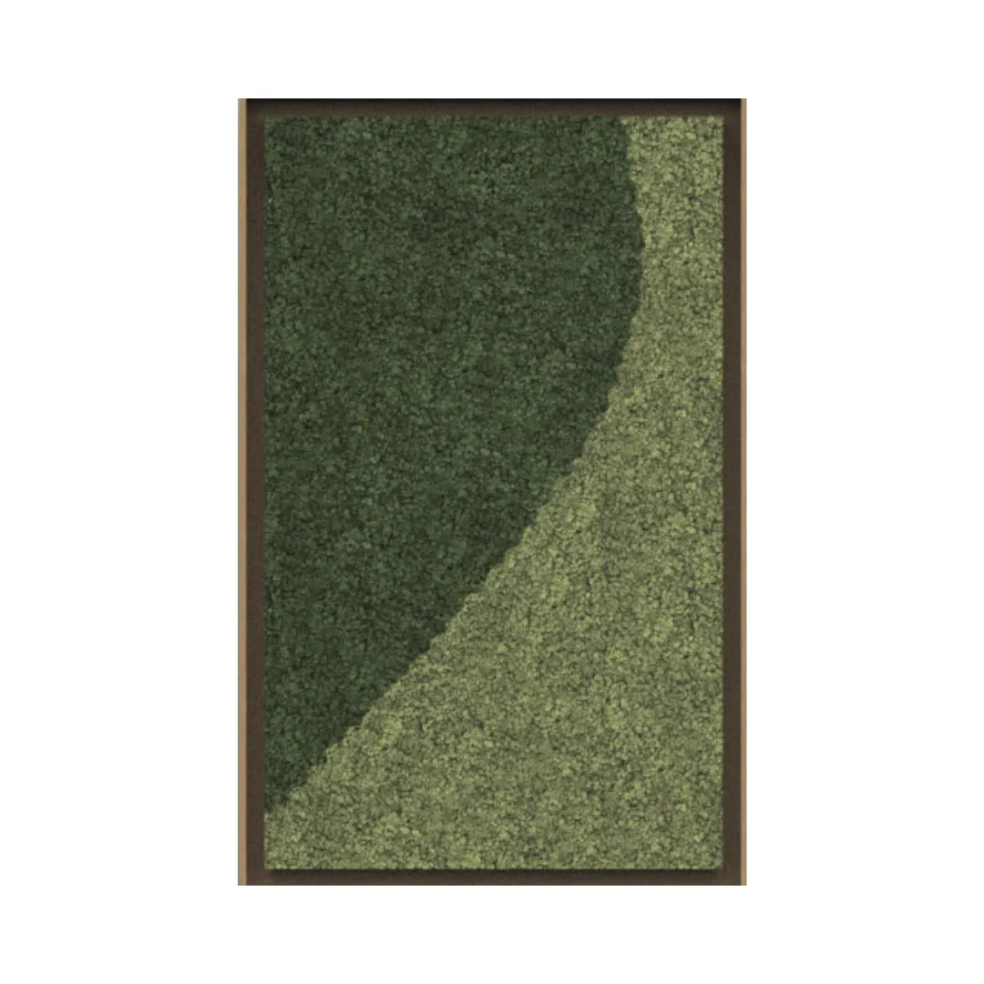 Harmony Framed Moss Wall Art (Series F)