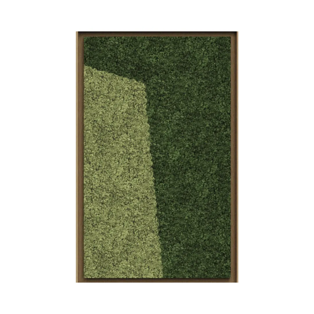 Landscape Framed Moss Art (Series A)