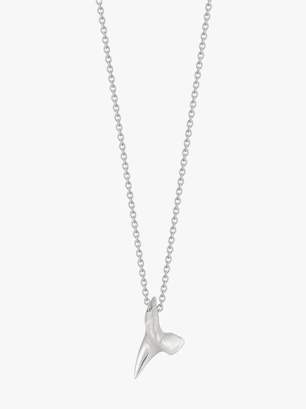 Small Shark Tooth